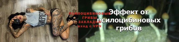 дживик Лихославль