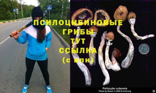 a pvp Лиски
