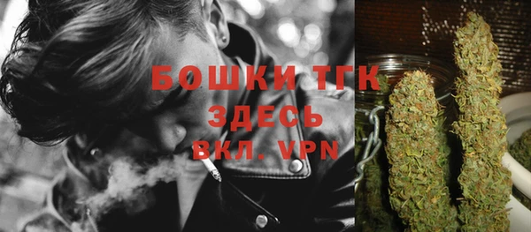 винт Лабытнанги