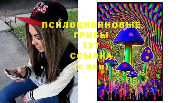 a pvp Лиски