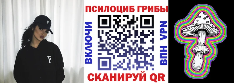 Псилоцибиновые грибы ЛСД  omg ссылки  Чегем  цена наркотик 